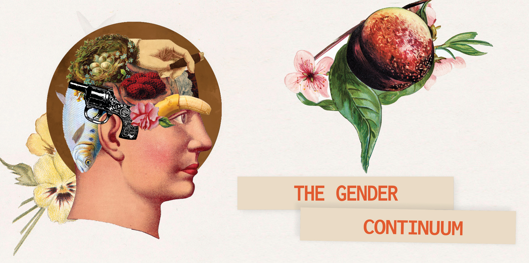 Gender Continuum